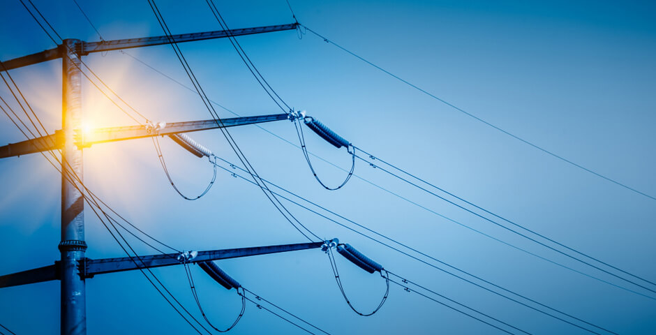 Под Новосибирском строящийся завод по переработке льна и рапса подключат к сети «Россетей»