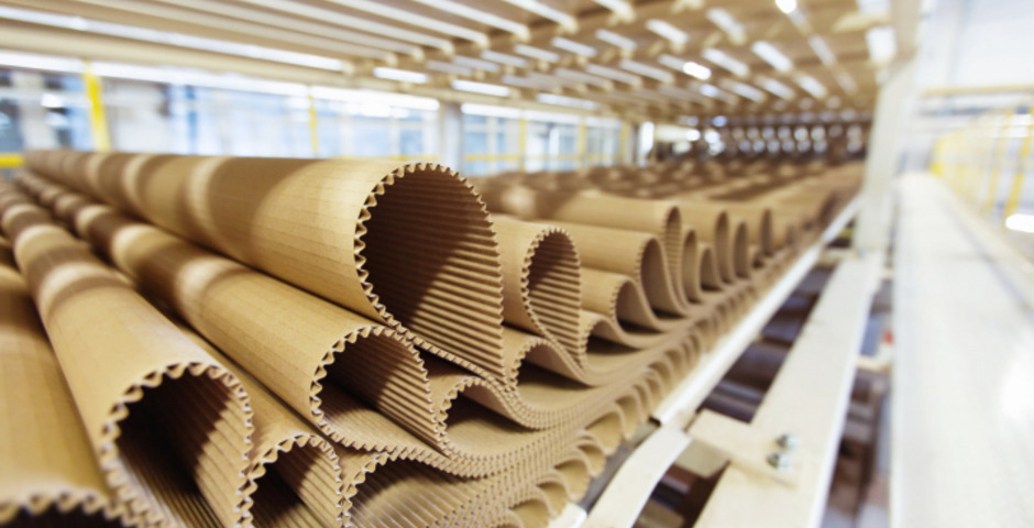 В Кемеровской области планируют построить самый крупный в Сибири картонный комбинат   