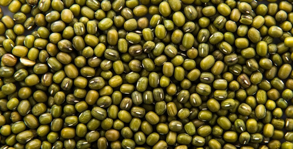 В Приамурье построят соевый завод за 14 миллиардов рублей