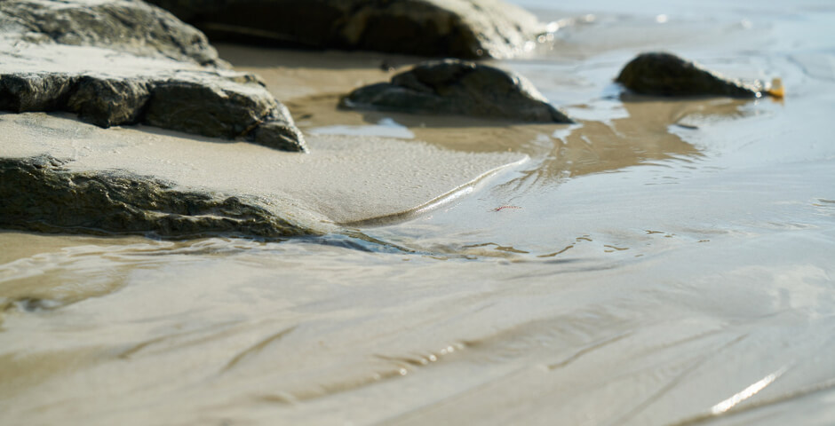 В Красноярском крае золотодобывающая артель возместила ущерб рекам на 75 млн рублей