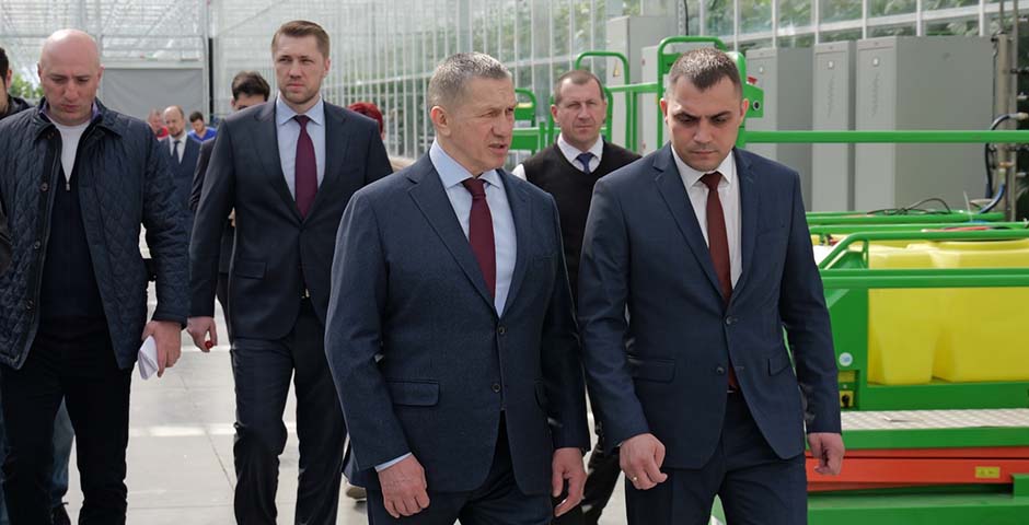 Тепличный комплекс «Камчатский» позволил снизить местные цены на овощи в два раза