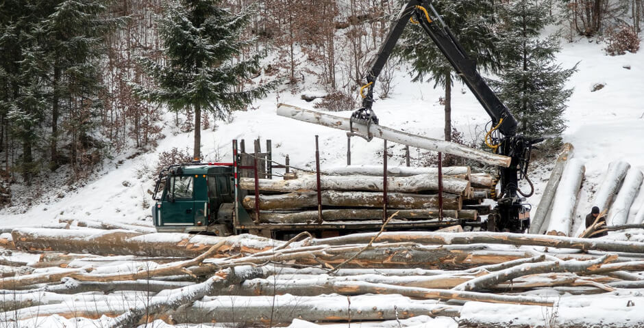 «Сибирьлес» увеличит выпуск лесопромышленной продукции и скорректирует инвестпроект