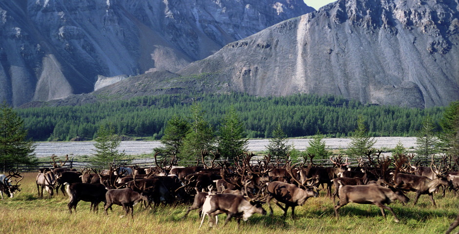 14 бизнесменам Хабаровского края дадут субсидии на инфраструктуру