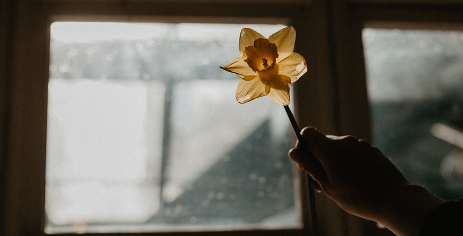 Полуденная сводка: кризис на Украине, 24 мая