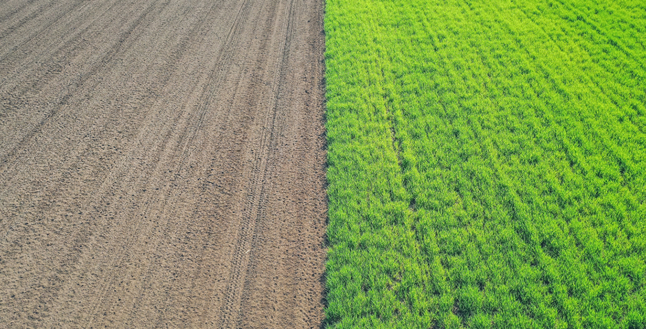 Кузбасс за год ввел в сельхозоборот более 20 тысяч га земель