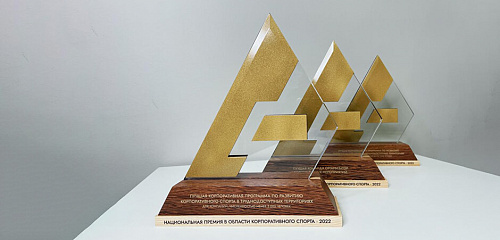 13 российских компаний стали обладателями первой Национальной премии в области корпоративного спорта