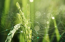 Республика Татарстан, Воронежская и Московская области — лидеры по инновационному развитию АПК