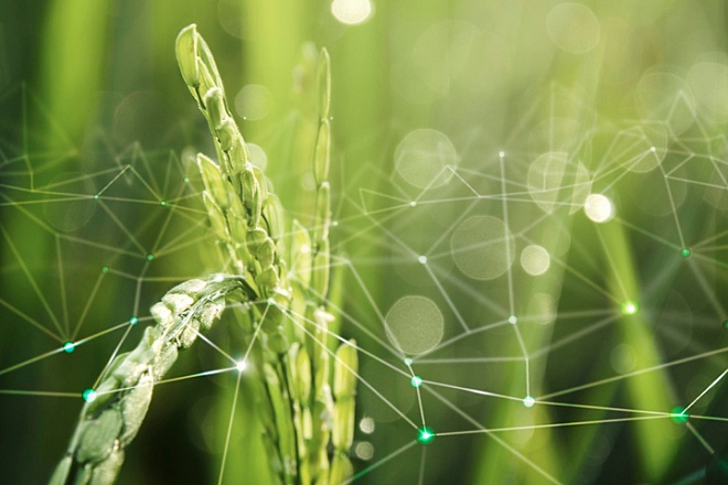 Республика Татарстан, Воронежская и Московская области — лидеры по инновационному развитию АПК