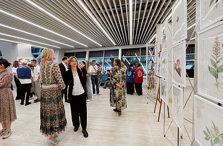 В аэровокзале «Южно-Сахалинск» открылась всероссийская выставка «Исчезающая красота России»