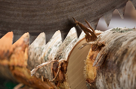 Runko Group сохраняет объем экспорта древесины