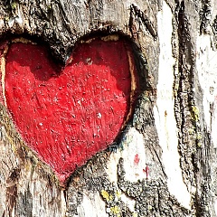 «Валентинка» с подвохом