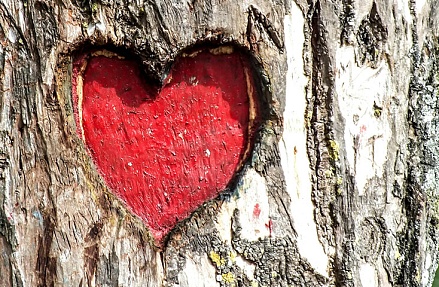 «Валентинка» с подвохом