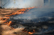 Пожарная обстановка в СФО и ДФО