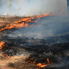 Пожарная обстановка в СФО и ДФО