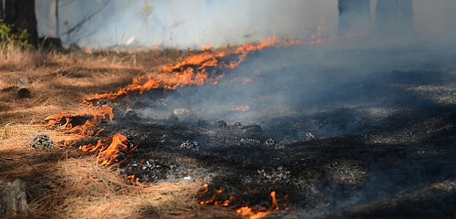 Пожарная обстановка в СФО и ДФО