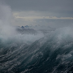«Как хорошо быть живым!»