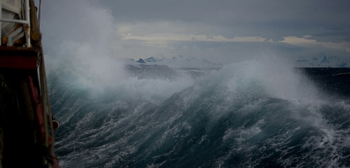 «Как хорошо быть живым!»
